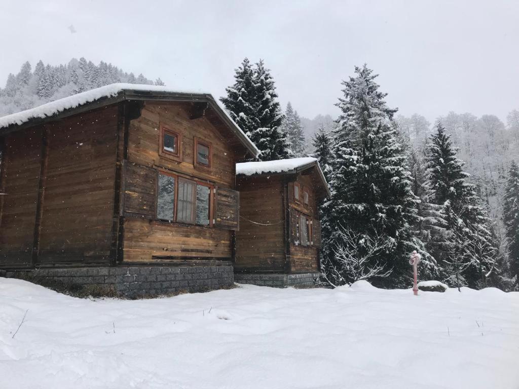 Kardelen Bungalov Evleri̇ Villa Ayder Exterior foto