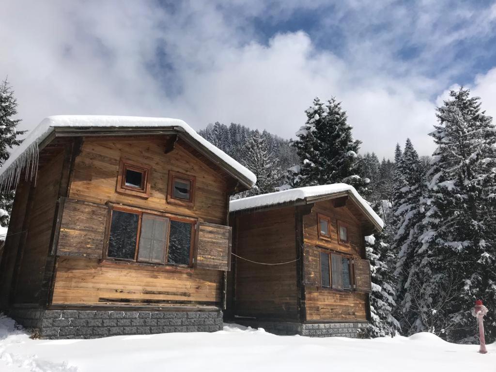 Kardelen Bungalov Evleri̇ Villa Ayder Exterior foto