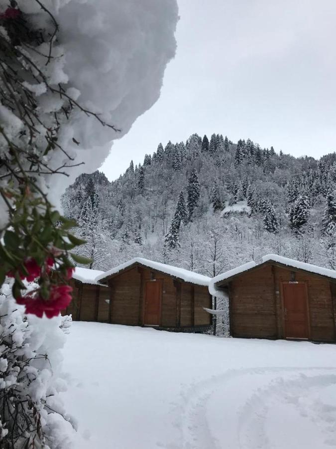 Kardelen Bungalov Evleri̇ Villa Ayder Exterior foto