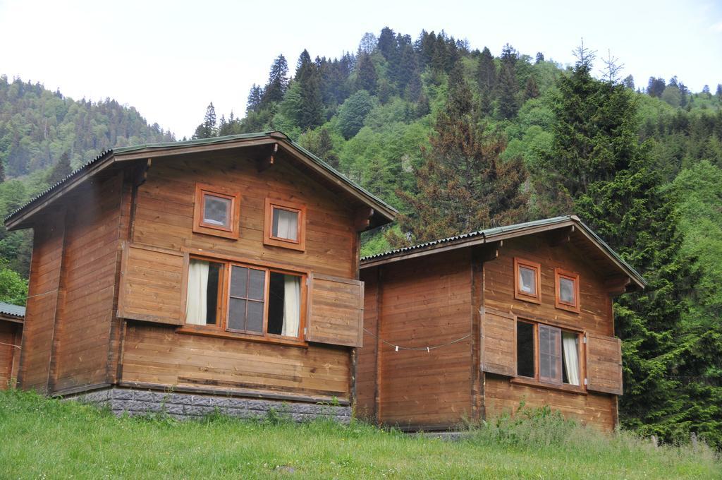 Kardelen Bungalov Evleri̇ Villa Ayder Habitación foto